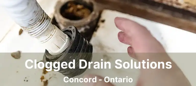  Clogged Drain Solutions Concord - Ontario