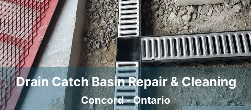  Drain Catch Basin Repair & Cleaning Concord - Ontario
