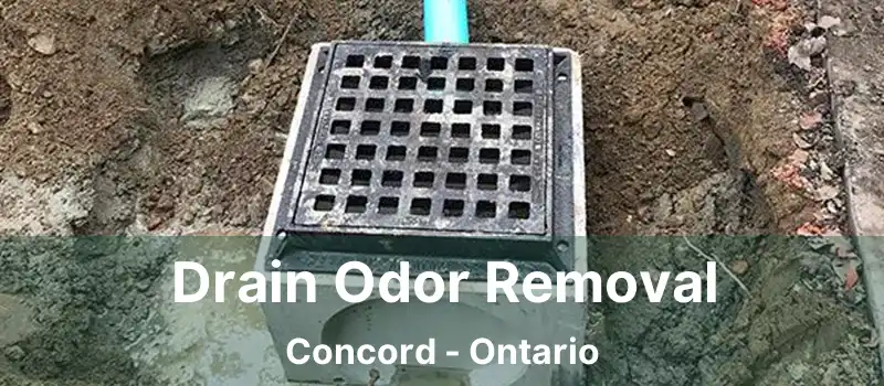  Drain Odor Removal Concord - Ontario