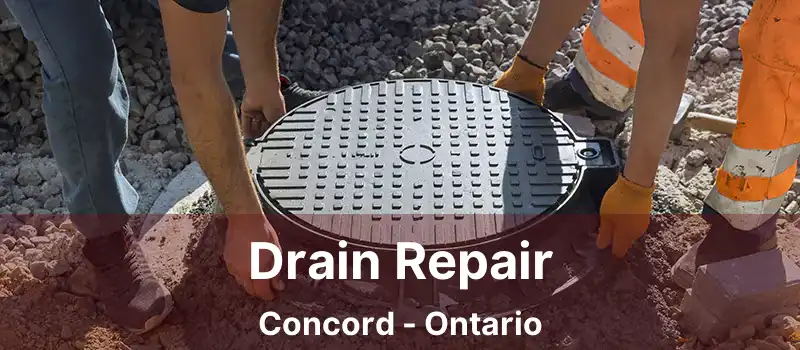  Drain Repair Concord - Ontario