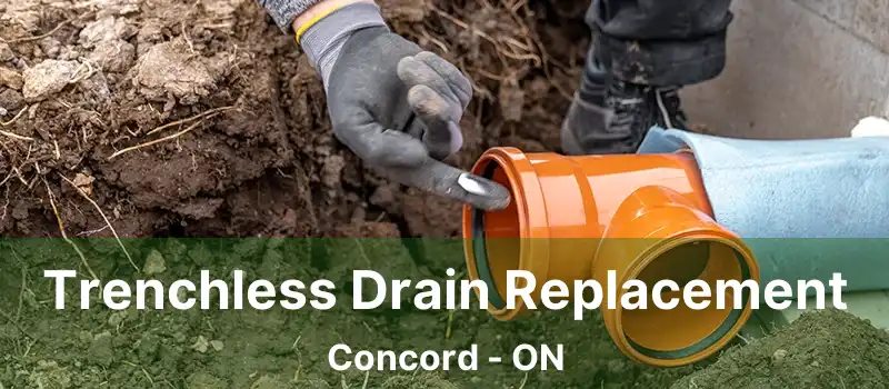  Trenchless Drain Replacement Concord - ON